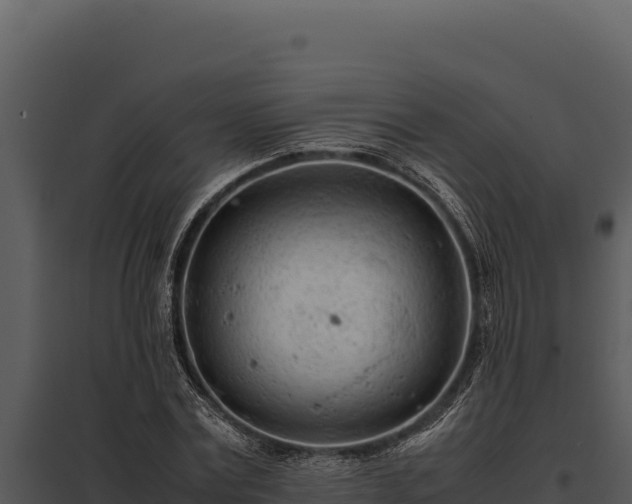 X0000097960779200804011657