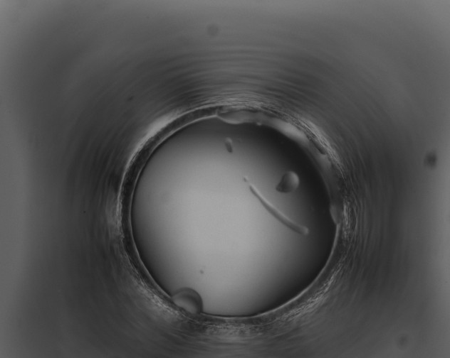 X0000097960780200804011657