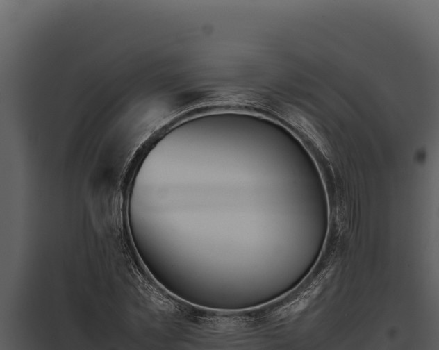 X0000097960781200804011657