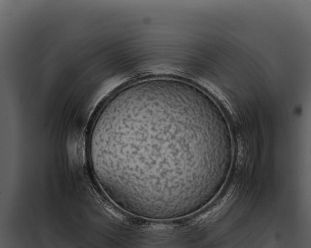 X0000097960782200804011657