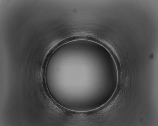 X0000097960783200804011657