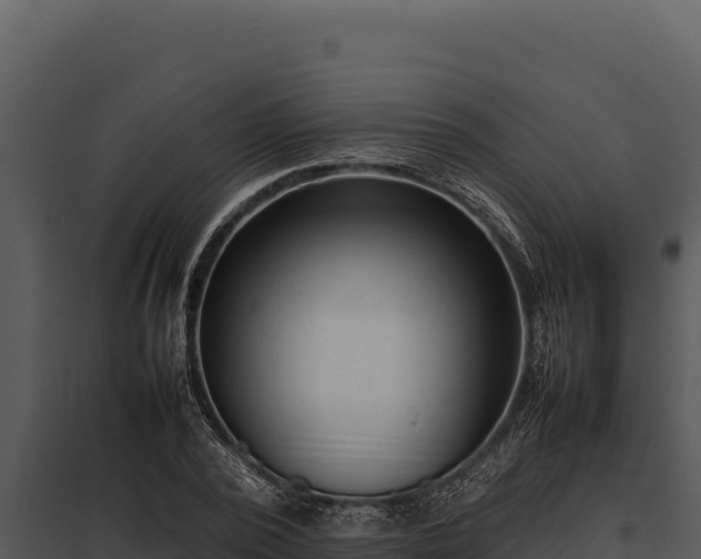 X0000097960784200804011657