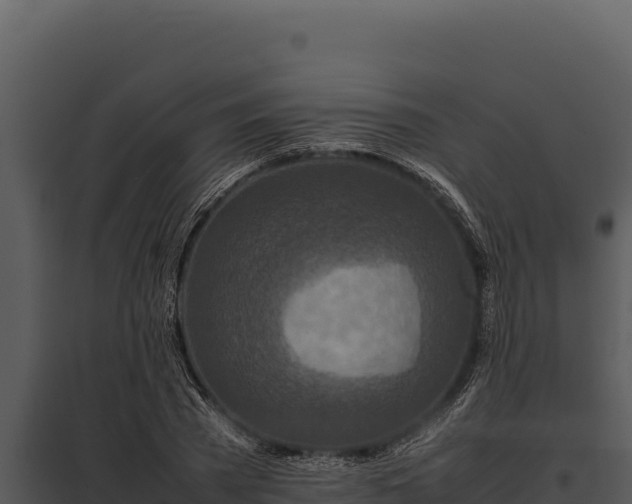X0000097960785200804011657