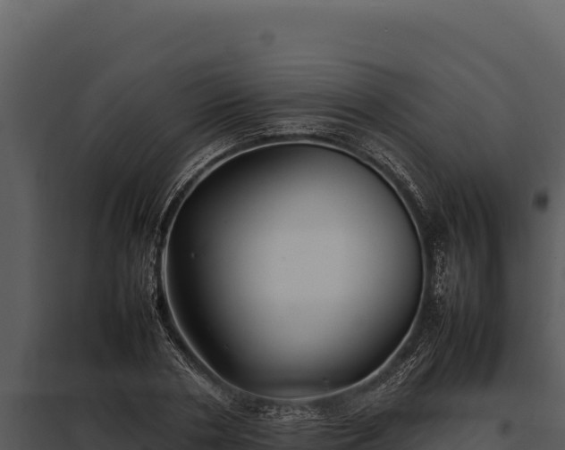 X0000097960786200804011657
