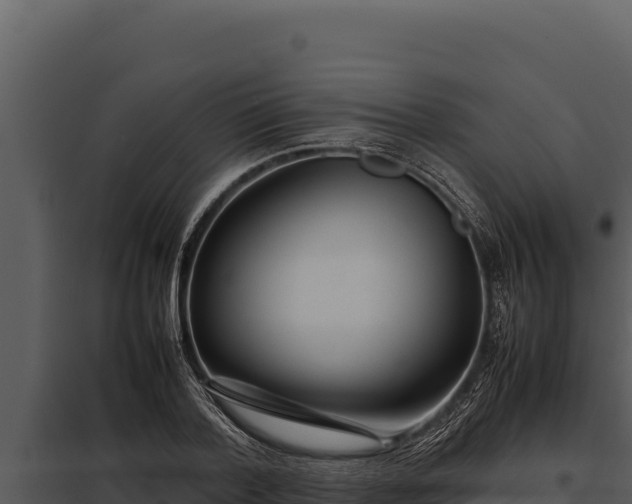X0000097960788200804011657