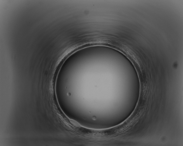 X0000097960789200804011657
