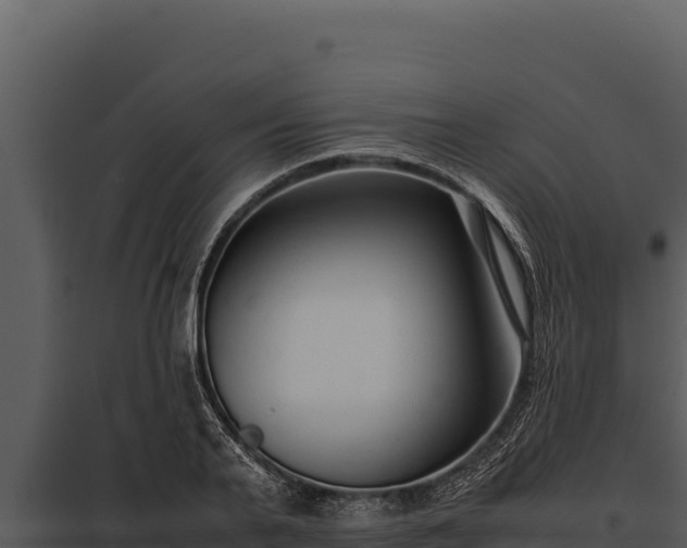 X0000097960791200804011657