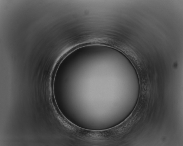 X0000097960792200804011657