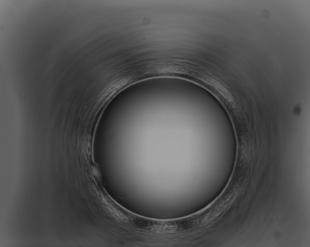 X0000097960793200804011656