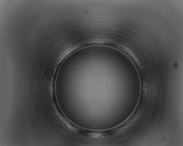 X0000097960794200804011656