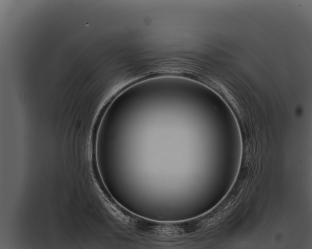 X0000097960795200804011656