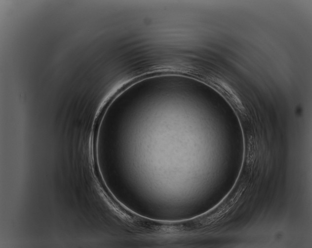 X0000097960796200804011656