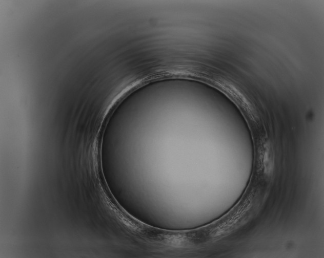 X0000097960798200804011656