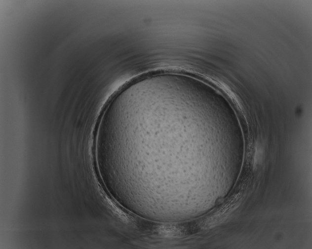 X0000097960799200804011656