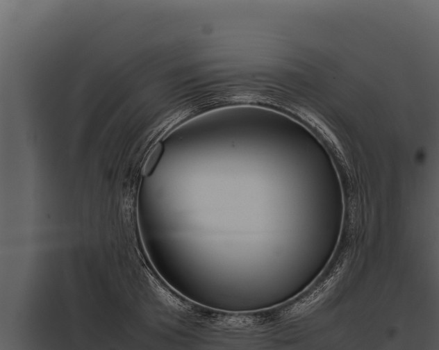 X0000097960801200804011656