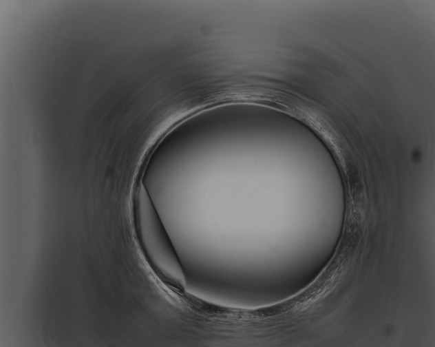 X0000097960803200804011656