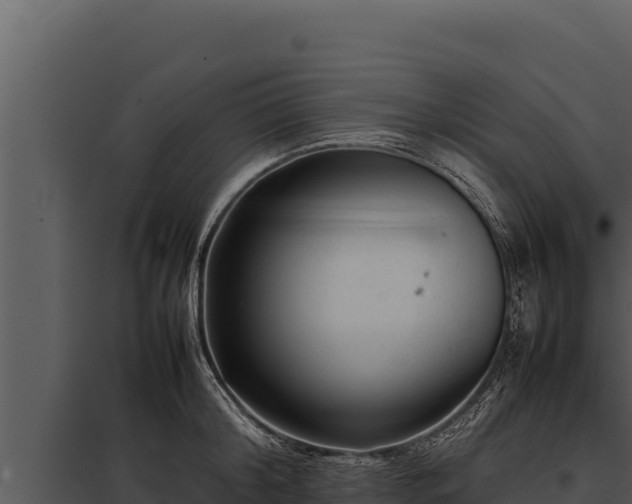 X0000097960804200804011656