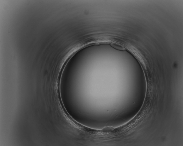 X0000097960805200804011656