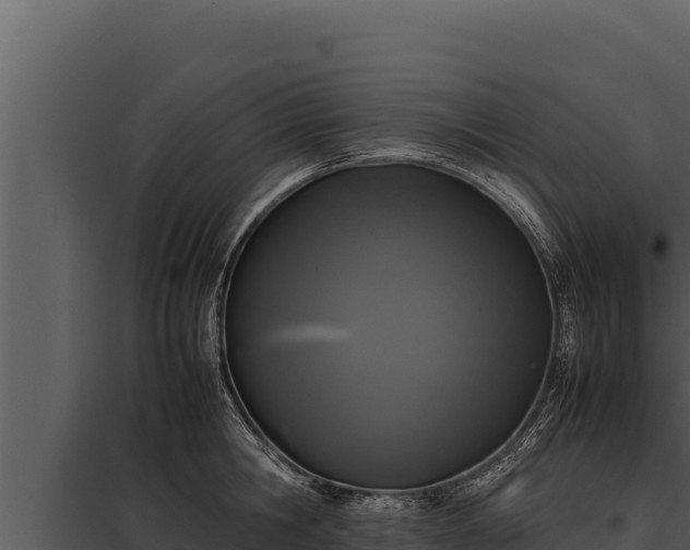 X0000097960806200804011656