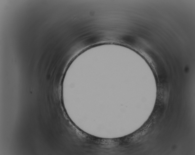 X0000097960807200804011656