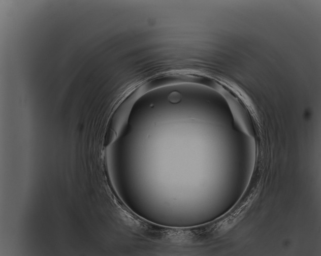 X0000097960809200804011656