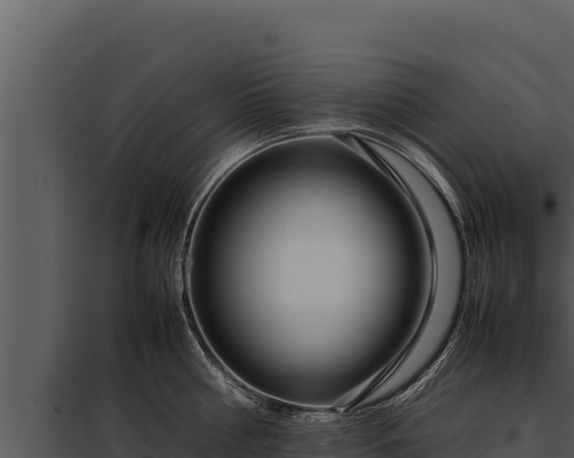 X0000097960810200804011656