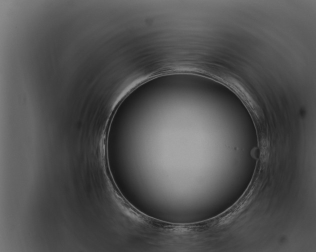 X0000097960814200804011656