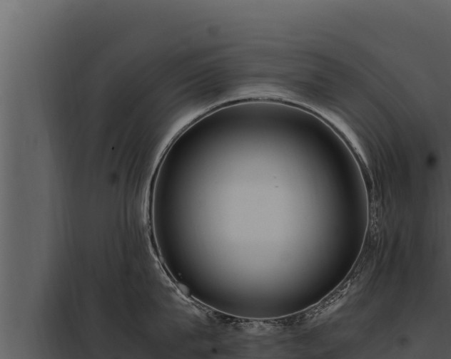 X0000097960815200804011656