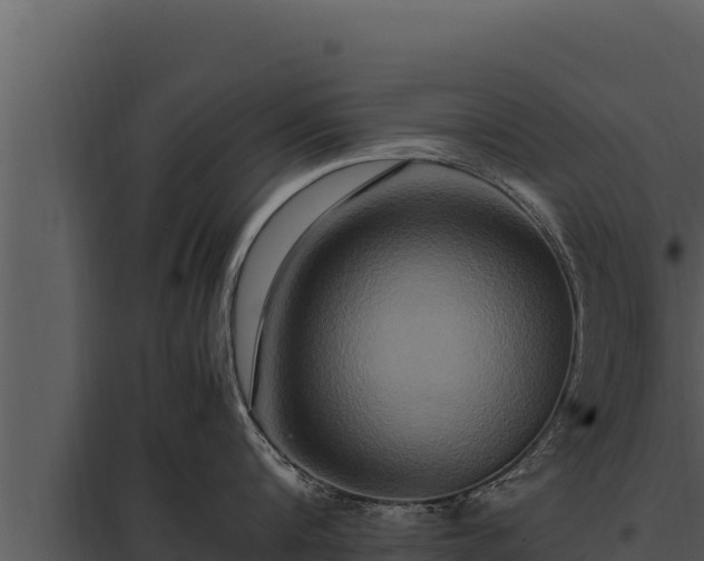 X0000097960816200804011656