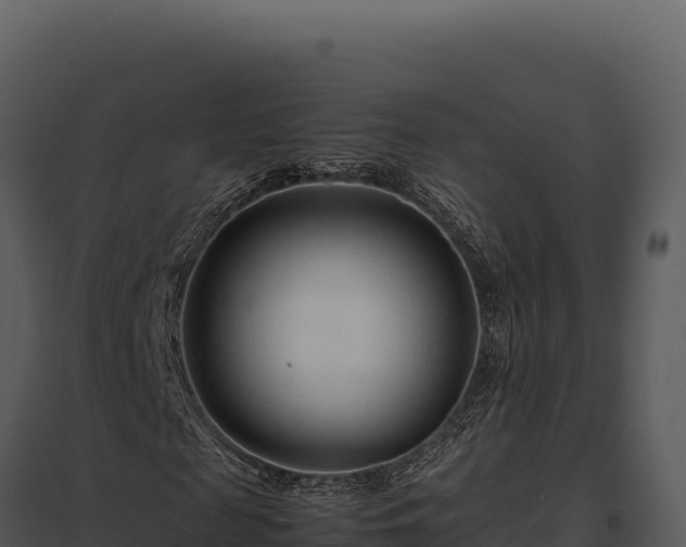X0000097960817200804011656