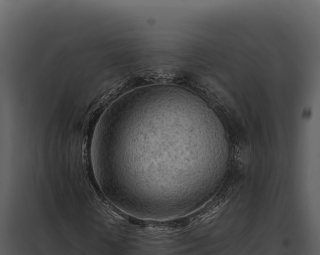 X0000097960818200804011656