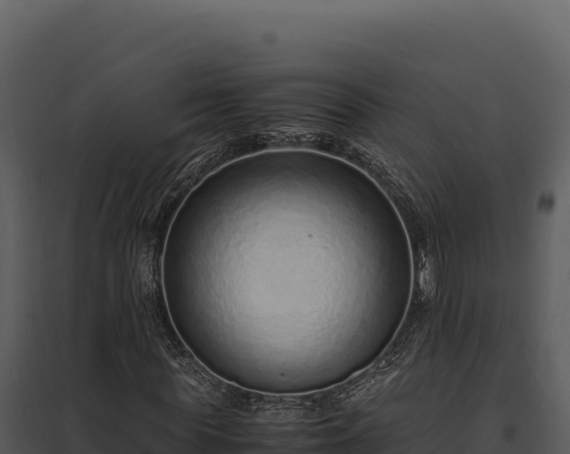 X0000097960819200804011656