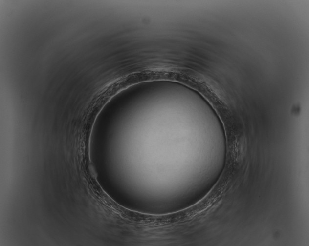X0000097960821200804011656
