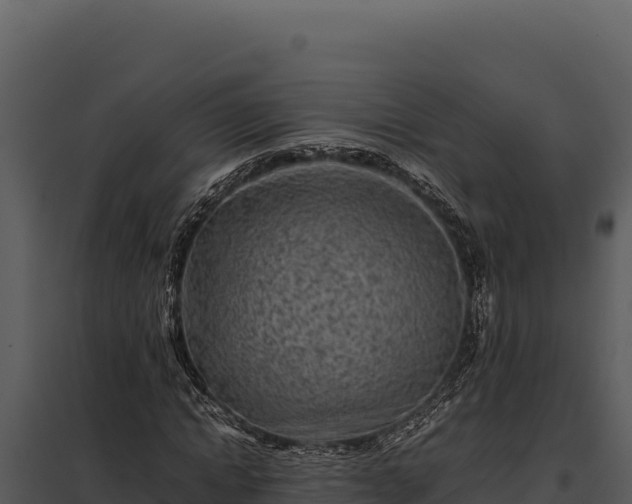 X0000097960822200804011656