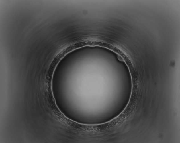 X0000097960823200804011656