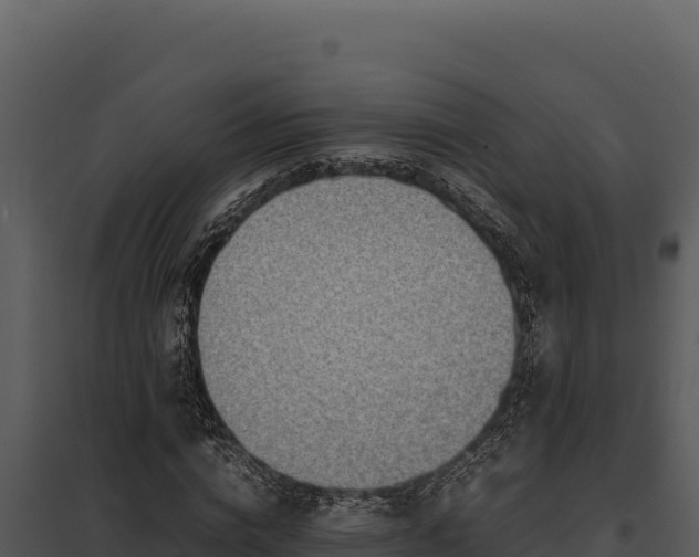 X0000097960824200804011656