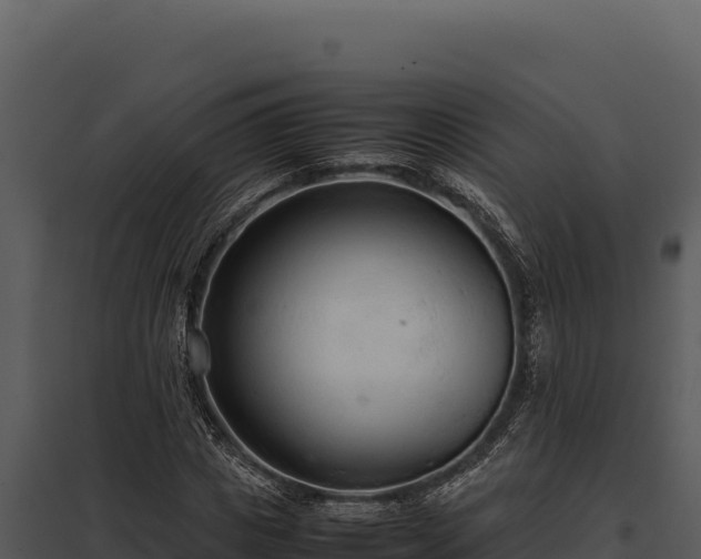 X0000097960825200804011656