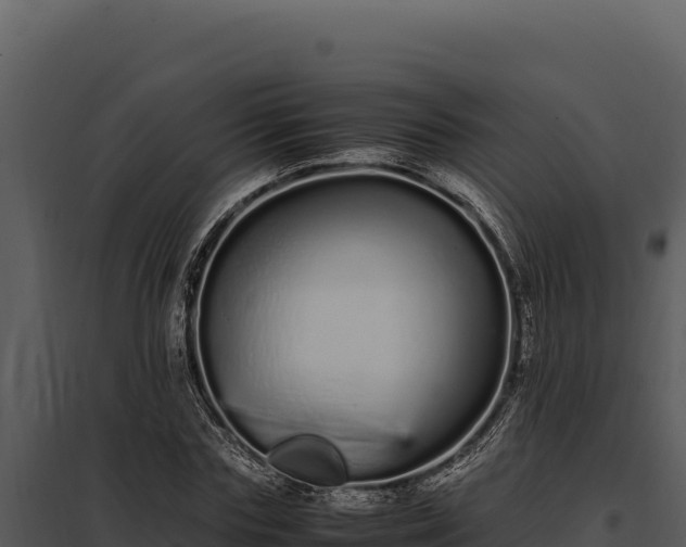 X0000097960827200804011656