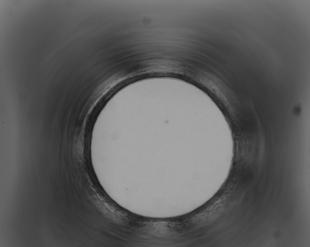 X0000097960828200804011656