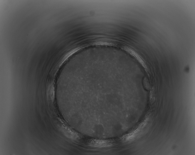 X0000097960829200804011656