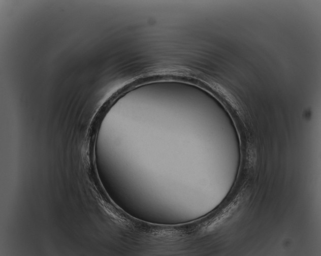 X0000097960830200804011656