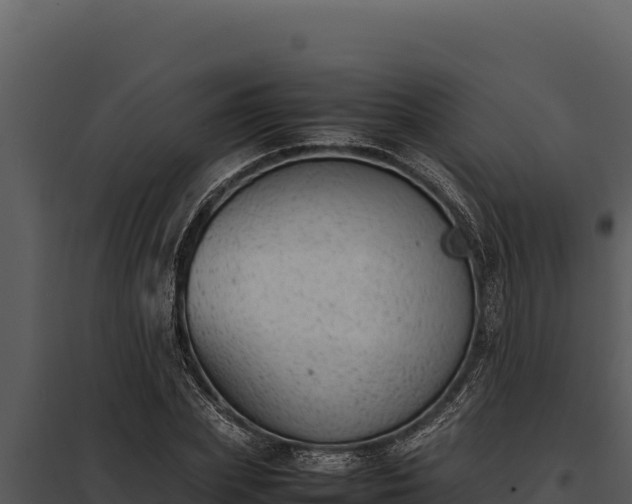 X0000097960831200804011656