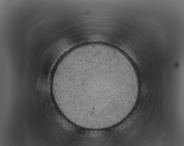 X0000097960832200804011656