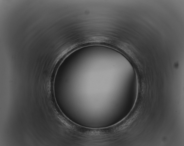 X0000097960834200804011656