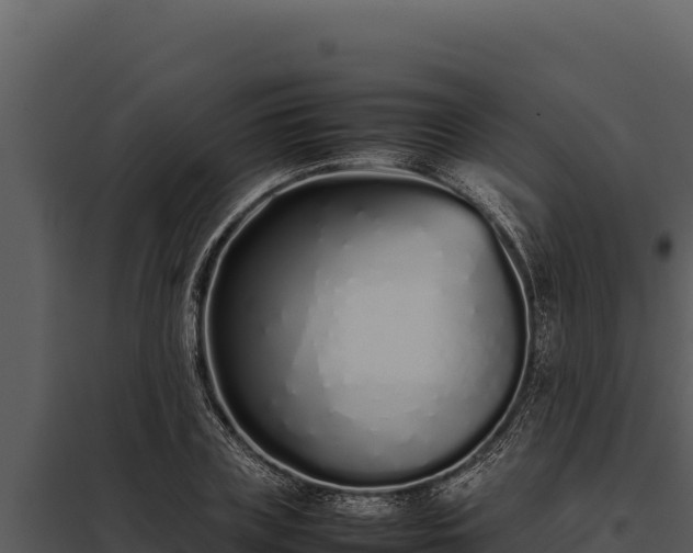 X0000097960835200804011656