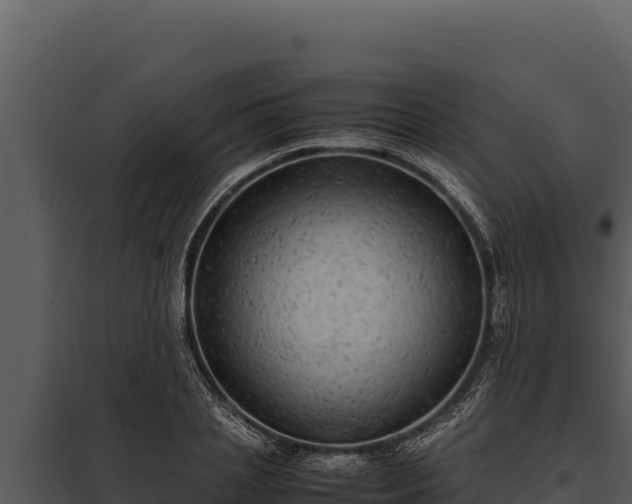 X0000097960837200804011656