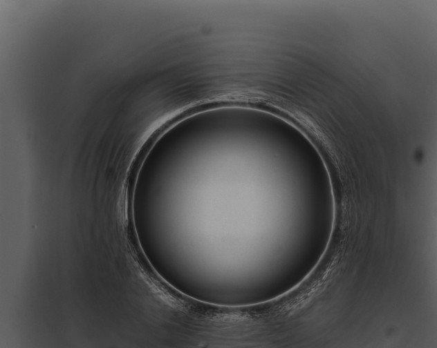 X0000097960838200804011656