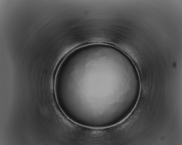 X0000097960839200804011656