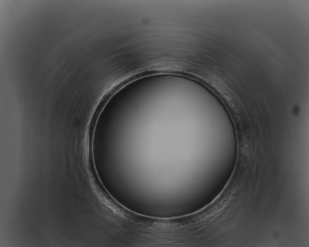 X0000097960840200804011656