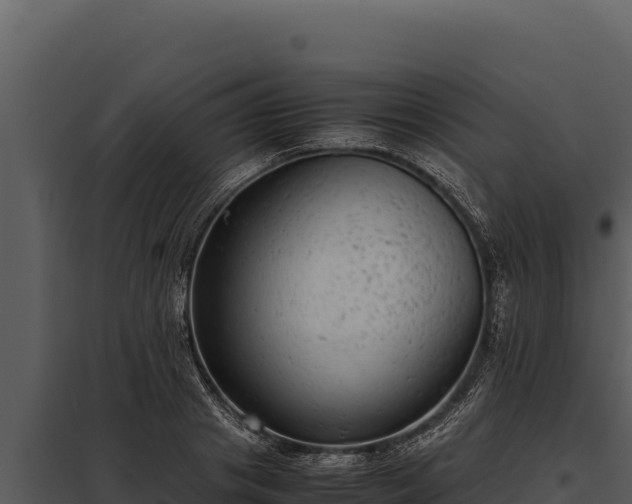 X0000097960841200804011656